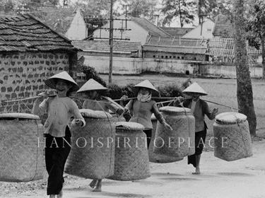 Vietnam del Norte, transportes con palo en el
                hombre - los pegalones arrogantes "americanos"
                llamaron esas mujeres buenas como "mulos"