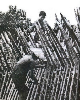 Vietnam del Sur,
                  el programa de pueblos estrat�gicos, un cerco de
                  bamb�