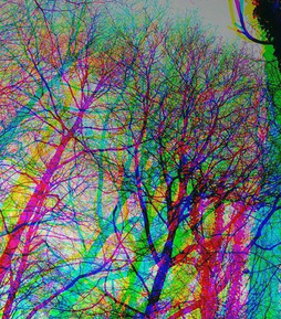 Pedal de LSD con cambios de colores y dimensiones