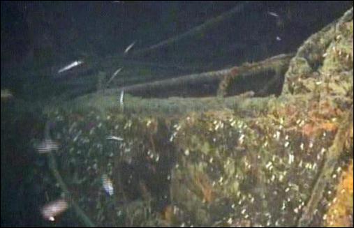 Das Wrack des Frachters "Cunsky" vor
                Kalabriens K�ste, vermutlich mit Gift- oder Atomm�ll
                beladen