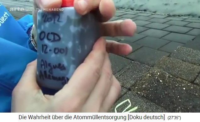 Radioaktives Seegras von einem radioaktiven
                  Meeresufer von Wilhelmshafen in Deutschland