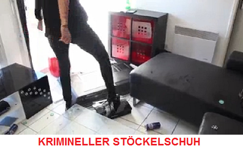 Vandalismus gegen einen Scanner mit
                        St�ckelschuhen