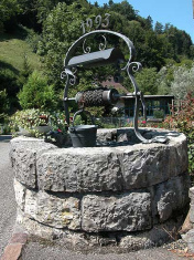 ... y sin saber c�mo -
                      el perro cay� al pozo.