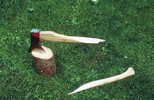 Una hacha rompi�, y el asasino de
                            �rboles pidi� una nueva le�a ...