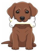Hund mit Chnoche Hund mit Chnoche