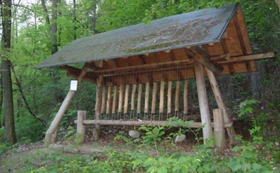 Music 01: dendrophone
                            in the Mill Valley (Mltal), Germany