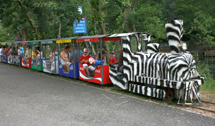 Park train 01 in the
                              park "Seeteufel" ("The
                              Lake's Devil") in Studen near Bienne,
                              Switzerland