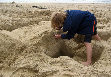 Sand digging 02 at
                              North Sea in Northern Holland