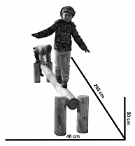 Balancing trunks 04 with
                                      cemented poles, and with technical
                                      data, LoggyLand, Germany