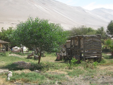 Car made of wood 02 on Hari Krishna
                              farm "Eco Truly" in Lluta Valley
                              near Arica in Chile