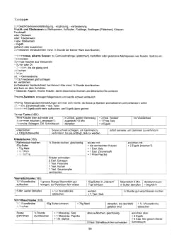 Vegetarisch Oberd�rffer: Sossen 01