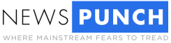 Newspunch online,
                                    Logo