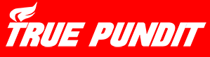 True Pundit
                      online, Logo
