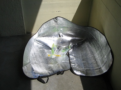 Sonnenkocher am 5.5.2008 (02)