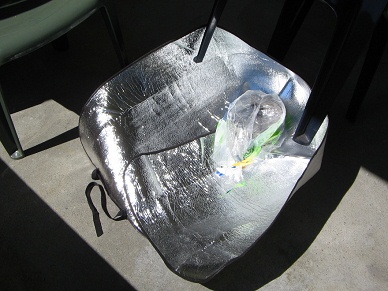 Sonnenkocher am 5.5.2008 (08)