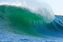 Das
                          Meerwasser erscheint in den ersten Metern
                          Tiefe gr�n-blau, und entsprechend sind
                          Pflanzen dort oft rot.