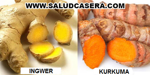 Vergleich
                        Ingwerwurzel und Kurkumawurzel
