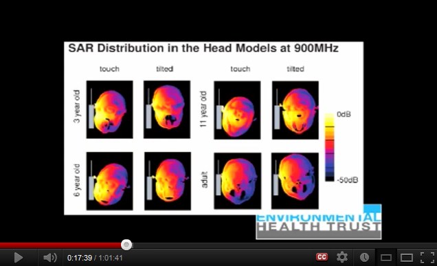 900 MHz:
                  Ein Handy verstrahlt den Kopf eines Kindes mehr als
                  beim Erwachsenen