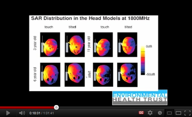 1800
                  MHz: Ein Handy verstrahlt den Kopf eines Kindes mehr
                  als beim Erwachsenen, aber insgesamt weniger als 900
                  MHz.