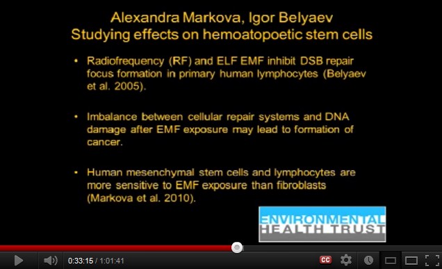Kurzwellenfrequenzstrahlung zerst�rt den
                  Reparationsmechanismus der Zellen