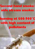 Cigarette with second
                            hand smoke (side stream smoke): burning at
                            600-900�C with high content of pollutants