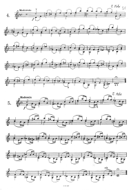 Seite 21: Doppelgriffstudien Nr. 4 und
                            5 von E. Polo mit vielen Fingerwechseln im
                            Legato, w�hrend andere Finger gehalten
                            werden