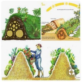 Sepp Holzer integrierte auch die
                          Hugenkultur, den Anbau am keilf�rmigen Damm
                          [24] [so wird die Anbaufl�che verdoppelt]