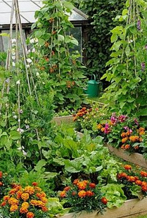 Permakultur-Pflanzenbeet dreidimensional