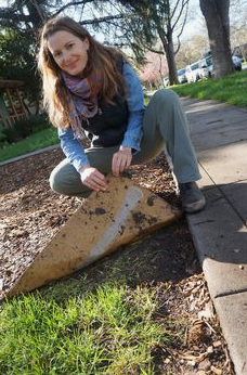 Pappe beseitigt
                Rasen 02