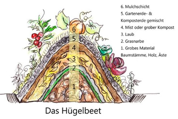 Schichtung des Permakultur-H�gelbeets
                          02
