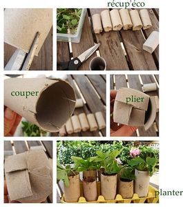 WC-Rollen unten
                          zusammenfalten und in Eierkartons stecken