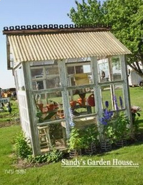 Treibhaus
                  aus alten Fenstern