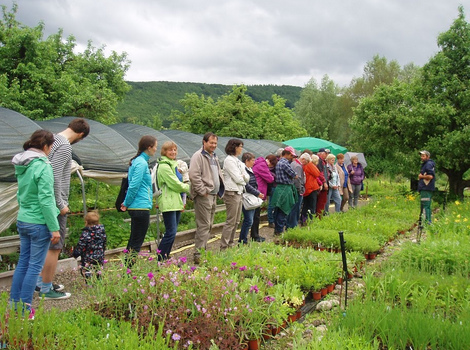 Eulenhof (own farm) in
                      M�hlin, (Shitzerland - because of criminal banks,
                      criminal pharma, criminal Nestl� and criminal
                      government permitting these criminals etc.)