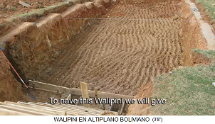 Walipini en
                            construcci�n, el foso con las paredes,
                            Bolivia
