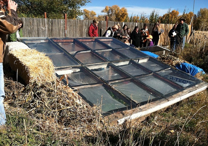 Walipini:
                          Invernadero bajo tierra con construcci�n de
                          ventanas antiguas como techo (techo con madera
                          y l�minas)