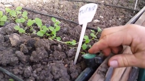 El riego en este bancal
                                elevado grande est� partido en 3
                                sectores con grifos intermedios en el
                                sistema de tubos
