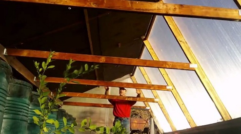 La
                                construcci�n del techo en el invierno:
                                el lado del norte est� completamente
                                negro