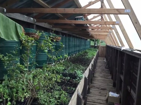 El techo en verano: 1 parte del
                                techo negro ahora est� transparente