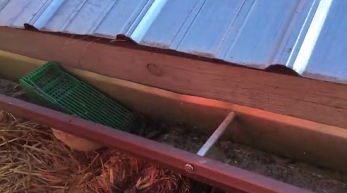 En la canaleta de lluvia hay a�n
                                m�s filtros donde salen los tubos