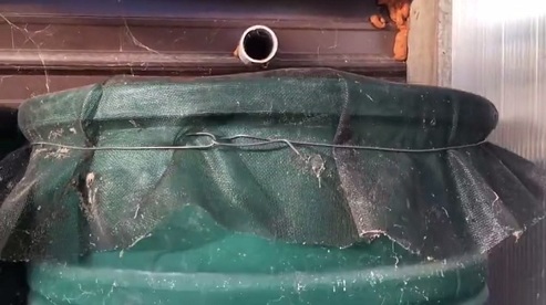 Barriles de agua son llenados con
                                agua de lluvia y en los barriles hay
                                tela como filtro, primer plano