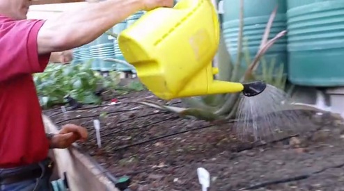 Un sector especial
                                est� regado con la regadera