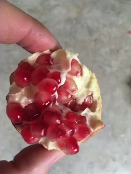 Manzana granada en el
                                invernadero de fosa