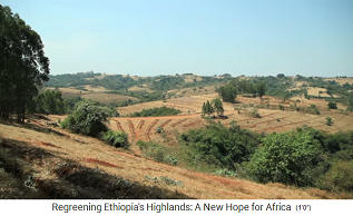 Das Hochland von
                    �thiopien ist gr�n geworden mit Wald und Feldern