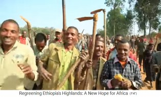 Eine M�nnergruppe geht zum B�umepflanzen