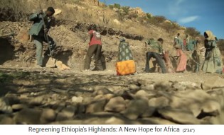 Die Umwandlung in eine nachhaltige
                      Landwirtschaft: Es werden Bauml�cher gehackt 02