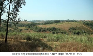 Grasland regeneriert wieder 01