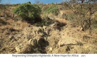 Im W�stenhochland von Tigray herrschte
                    Erosion