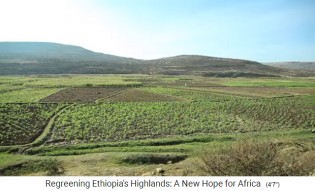 Die Provinz
                    Tigray in �thiopien wird mit der neuen
                    Landwirtschaft wieder gr�n