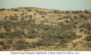 Provinz Tigray, die
                      Bev�lkerung hackt Bauml�cher 02