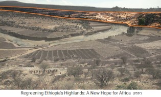 Hochland von �thiopien, Beispiel einer
                    Landschaft Sektor 3: Weideland weiter oben